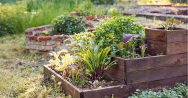Jardin bio au printemps : 7 gestes simples pour booster la biodiversité