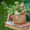 6 plantes à tisane à cultiver au jardin dès le printemps