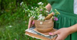 6 plantes à tisane à cultiver au jardin dès le printemps 6 plantes à tisane à cultiver au jardin dès le printemps