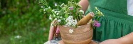 6 plantes à tisane à cultiver au jardin dès le printemps