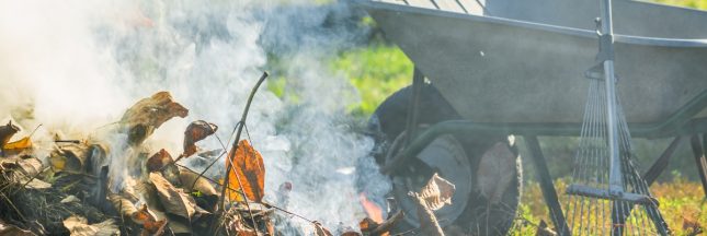 dechets verts au jardin
