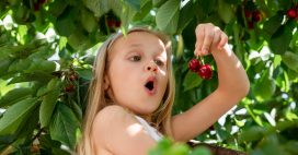 Jardinage de juin : les actions clés pour un jardin et un potager florissants ! Jardinage de juin : les actions clés pour un jardin et un potager florissants !
