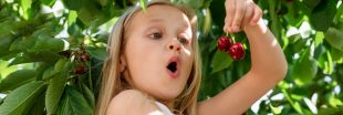 Jardinage de juin : les actions clés pour un jardin et un potager florissants !