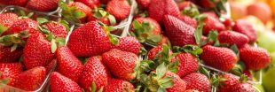 Fraises : comment réduire l'impact environnemental de votre achat ?