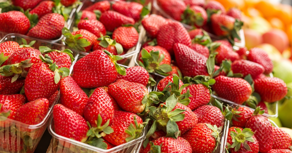 Fraises : comment réduire l'impact environnemental de votre achat ?