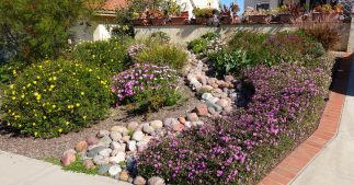 Réchauffement climatique : un jardin prêt à y faire face