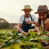 Peut-on louer son jardin entre particuliers ?
