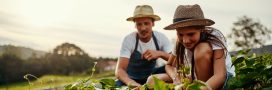 Peut-on louer son jardin entre particuliers ? Peut-on louer son jardin entre particuliers ?