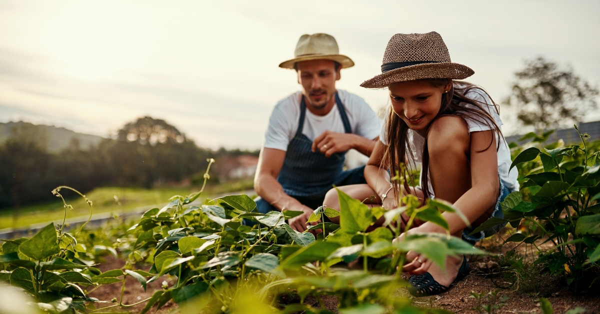 Peut-on louer son jardin entre particuliers ?