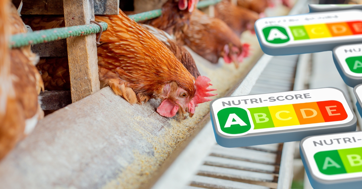 Vers la création d'un 'Nutri-score' du bien-être animal - Pour ou contre ? Vers la création d'un 'Nutri-score' du bien-être animal - Pour ou contre ?
