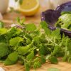 Cuisinez la mélisse : recettes fraîches et aromatiques Cuisinez la mélisse : recettes fraîches et aromatiques