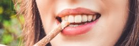 Comment blanchir les dents : le siwak, traitement de choc tout en douceur