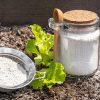 Terre de diatomée : 9 utilisations astucieuses