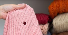 Antimites, toutes les astuces naturelles et efficaces