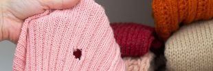 Antimites, toutes les astuces naturelles et efficaces