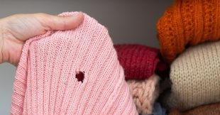 Antimites, toutes les astuces naturelles et efficaces