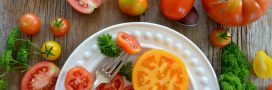 Les meilleures variétés de tomates et leurs recettes idéales