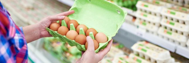 Hausse du coût de la vie : les Français se ruent sur les oeufs
