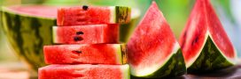 Comment choisir la pastèque parfaite ?