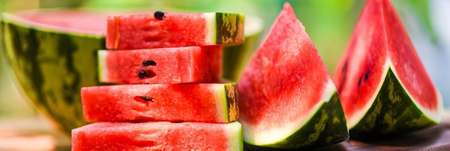 bien choisir sa pasteque