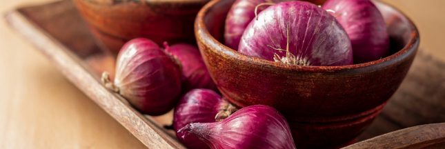 Les bienfaits beauté des oignons