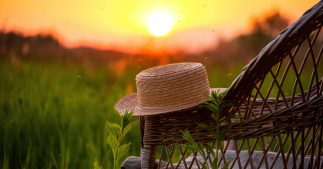 Pourquoi, cette année, le solstice d'été tombe le 20 juin Pourquoi, cette année, le solstice d'été tombe le 20 juin