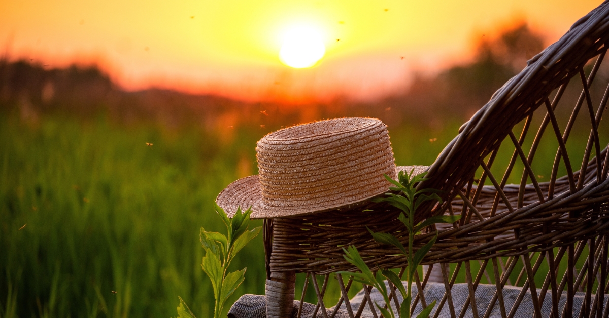 Pourquoi, cette année, le solstice d'été tombe le 20 juin Pourquoi, cette année, le solstice d'été tombe le 20 juin