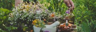 15 plantes médicinales à cultiver au jardin pour une pharmacie naturelle