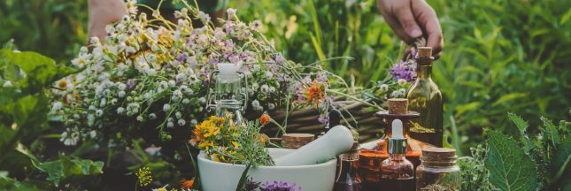 15 plantes médicinales à cultiver au jardin