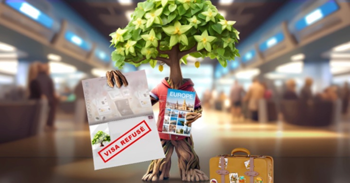 Vacances : ne rapportez pas de fruits, légumes et plantes de l'étranger