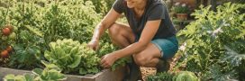 Potager pour débutant : 10 légumes et fruits faciles à cultiver Potager pour débutant : 10 légumes et fruits faciles à cultiver