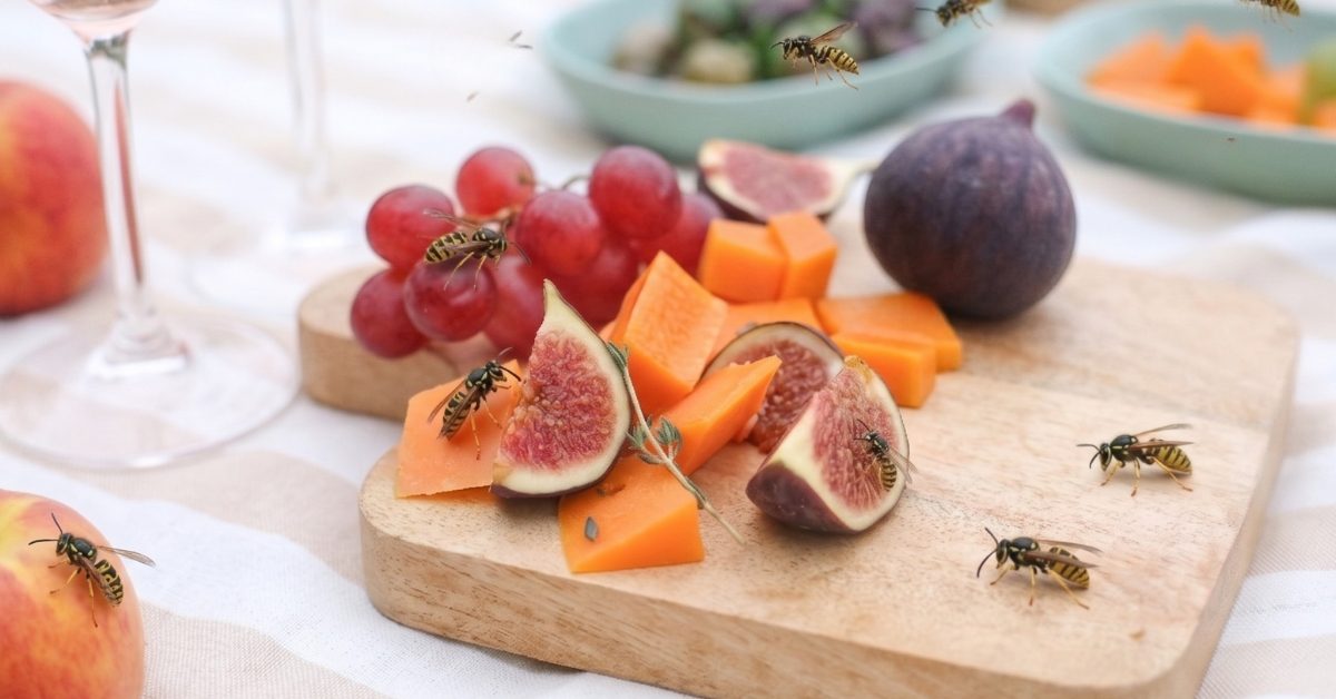 Comment lutter contre les guêpes au jardin