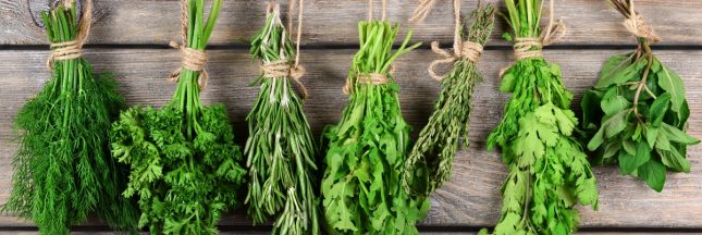 herbes aromatiques