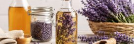 9 bonnes raisons de préparer votre vinaigre de lavande 9 bonnes raisons de préparer votre vinaigre de lavande
