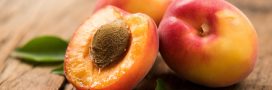 Légumes et fruits d'été : l'abricot pour le tonus Légumes et fruits d'été : l'abricot pour le tonus