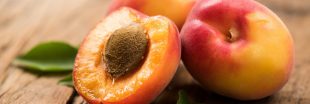 Légumes et fruits d'été : l'abricot pour le tonus