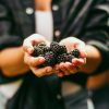 Mûres : les bienfaits santé, beauté et recettes délicieuses Mûres : les bienfaits santé, beauté et recettes délicieuses