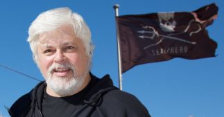 Arrestation de Paul Watson : un combat pour la préservation des océans Arrestation de Paul Watson : un combat pour la préservation des océans