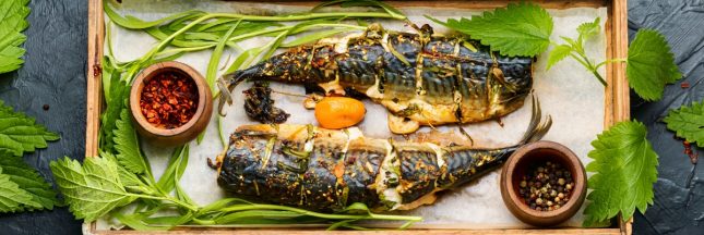 Sardines en fête