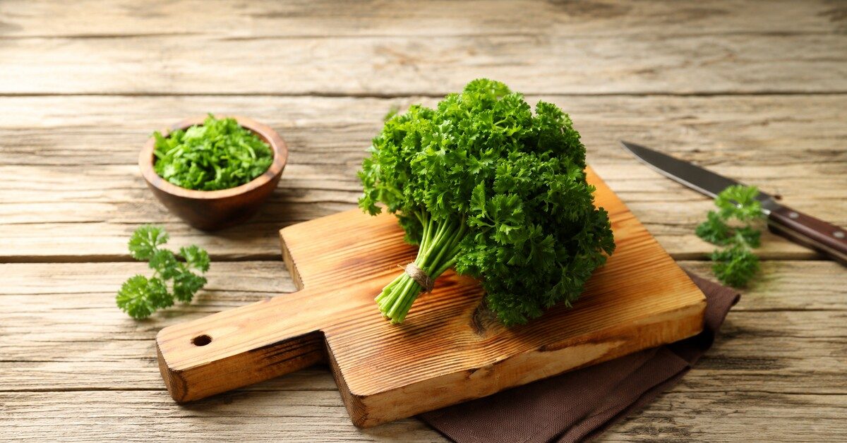 5 recettes bio très faciles à réaliser avec du persil 5 recettes bio très faciles à réaliser avec du persil