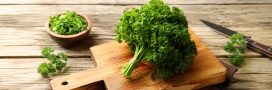5 recettes bio très faciles à réaliser avec du persil
