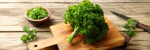 5 recettes bio très faciles à réaliser avec du persil