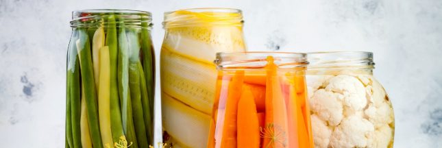 Aliments fermentés et conserves maison : une méthode ancestrale pour réduire les emballages