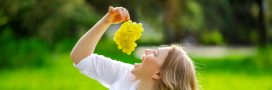 Le raisin : un antioxydant naturel Le raisin : un antioxydant naturel