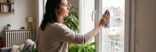 10 plantes pour se débarrasser de l'humidité dans la maison