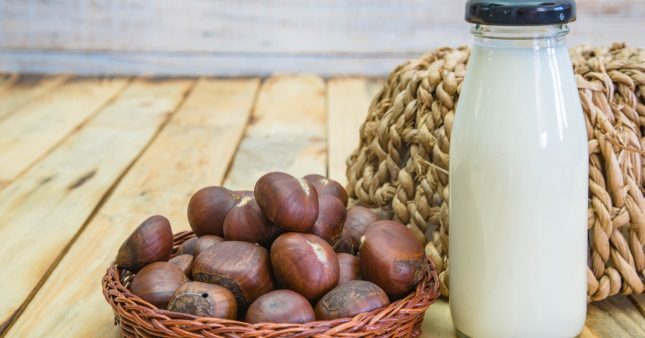 Comment faire son lait de châtaigne maison : bienfaits et recette facile Comment faire son lait de châtaigne maison : bienfaits et recette facile