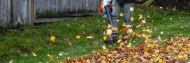 Les souffleurs de feuilles, un fléau à bannir ? Les souffleurs de feuilles, un fléau à bannir ?