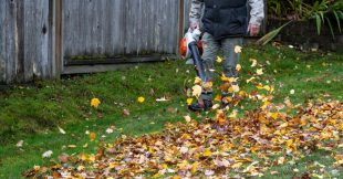 Les souffleurs de feuilles, un fléau à bannir ?