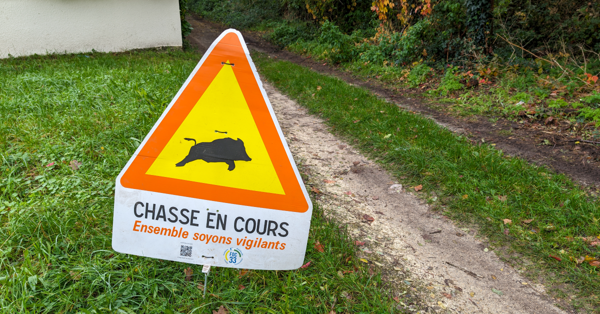 Gilet fluo pour les promeneurs en période de chasse : rumeur ou vérité ?