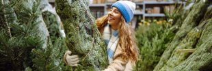 Allez-vous acheter (et jeter) un sapin de Noël ? Allez-vous acheter (et jeter) un sapin de Noël ?